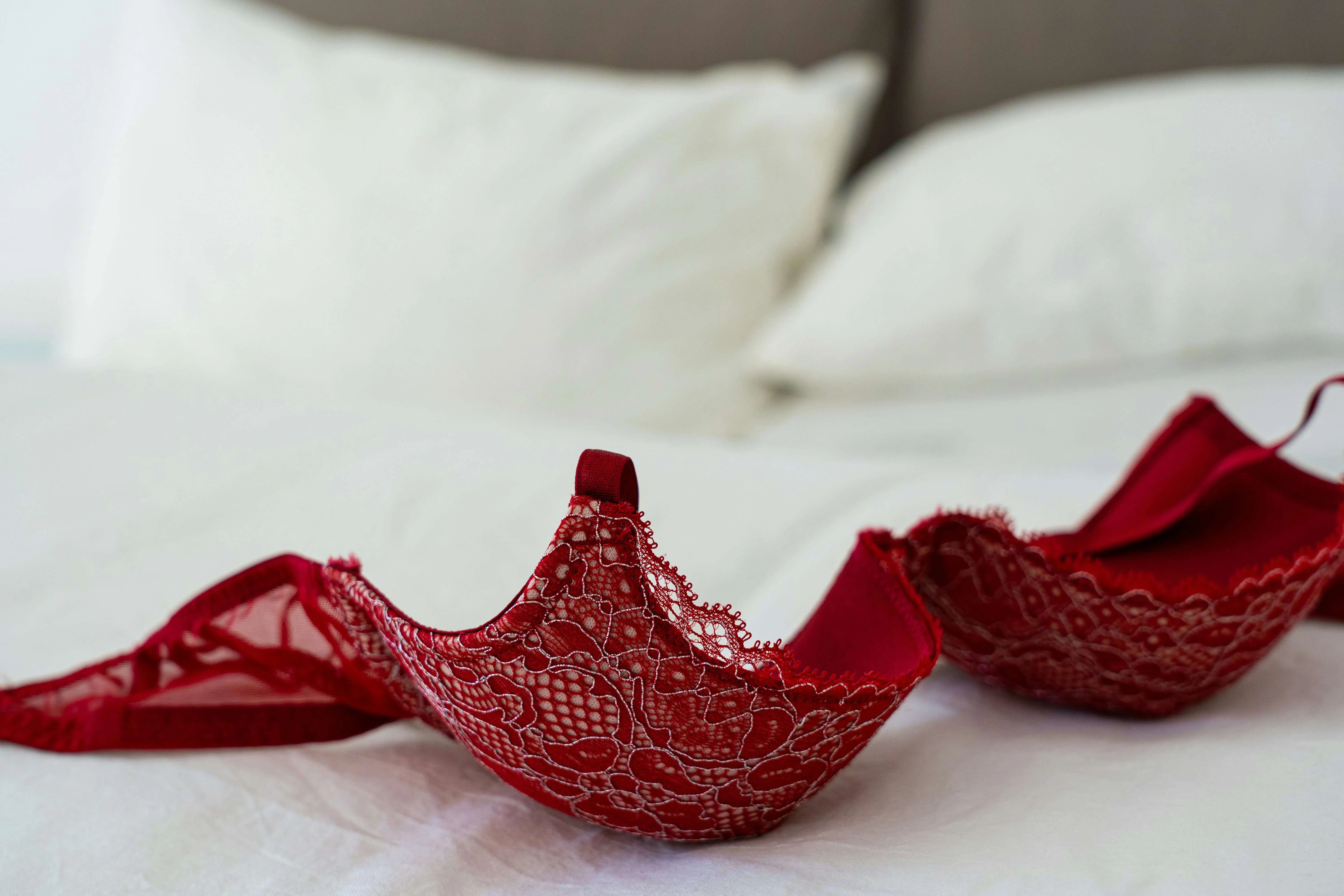 Services to Enjoy with a Busty Escort